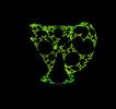 twisting gasket