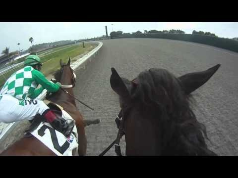 horse racing horse racing