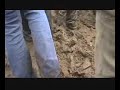 More Ashbourne Mud
