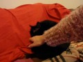 Rub�n es un 