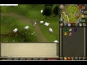 guide on how to become a ghost  in rs =]