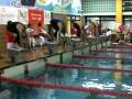 videos de Innsbruck Master Shark 2008 - 100 mx Mirco, Loris e Daniele