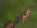 Sims 2 streakers!!!! Sims 2 streakers!!!!