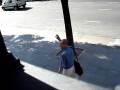 videos de Pasa Pichel (grande Pichel!)