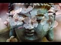 Buddha - Kontekst ( No Copyright Sound)
