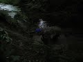 climbing, sliding, falling in the swamp