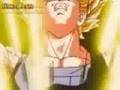 Goku vs Vegeta (Phenomenon)