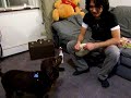 実は頭良いんです。