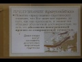 Предопределение и Свободная воля