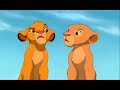 Simba is Stupid in School (Parody)
