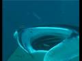 videos de Arnd Rössel - Manta Manta -