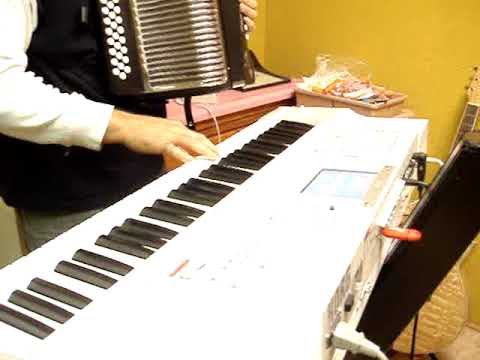 HOHNER ACCORDION SAMPLES