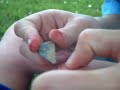Seans Splinter Seans Splinter