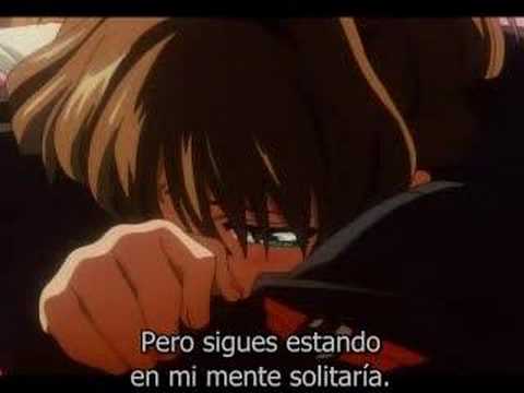 Amv Sakura Card Captors - here without you Sub spanish