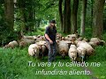 Salmo 23