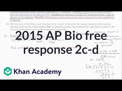 2c D Cellular Respiration Cell Compartmentalization And