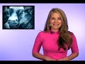 Quality Stocks Daily Video 10/27/2008