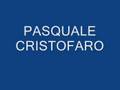 Altro scacco al clan Bidognetti