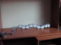 Cube Revolutions: Locomotion using sinusoidal oscillations Cube Revolutions: Locomotion using sinusoidal oscillations