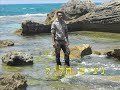 Click here to watch this video נעים חליל פרדיס