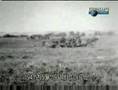 Bismark Battleship