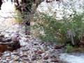 Albuquerque Hail Storm