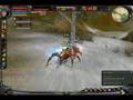Shaiya - Level 15 Defender PVPing
