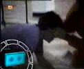K7 Pirata - Videos Patetas K7 Pirata - Videos Patetas