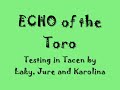 Echo of the Toro Tacen november 2009