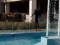 fisciano pazzo nella fontana di economia
