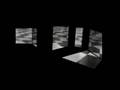 videos de Animal Locomotion_test_2