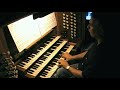 Bach-Vivaldi Concerto in A minor BWV-593 - 1rst Movement
