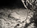 Cavalier's late night romp in the snow