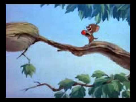 Tom va jerry: chu chim go kien be bong
