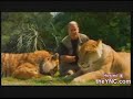 HÍBRIDOS FELINOS