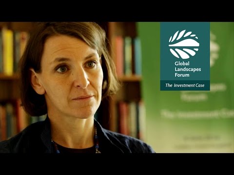 DFID’s Andrea Ledward on the Green Climate Fund