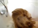 Bath bubbles