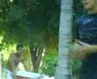 capus camping club
