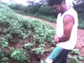 jjg