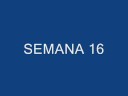 WRS  en 27 semanas