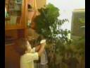 o?uzhan çiçek sularken.flv o?uzhan çiçek sularken.flv
