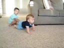 Luke on the move!