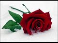 G�l�m