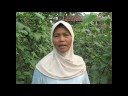 Biofuel - bogor case - ibu ati2 08 Biofuel - bogor case - ibu ati2 08