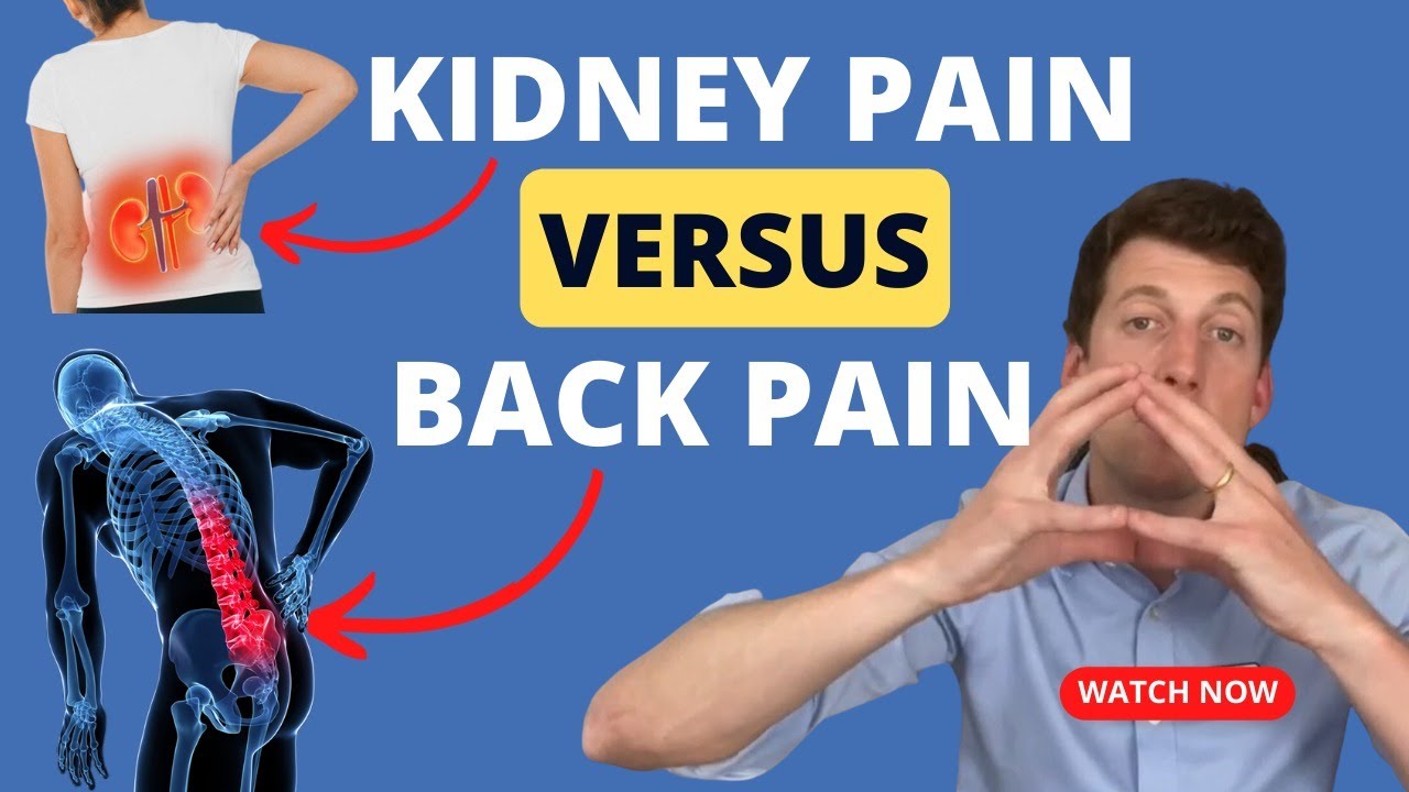 How do I know if I have kidney pain or low back pain?