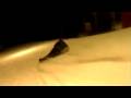Airboard Byong Ho Airboard Byong Ho