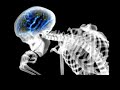 Flicker Frequency(