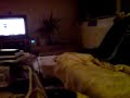 Curly&Shirly: Auf der Couch, 2 - On the Couch, 2