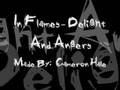 In Flames - Delight And Angers