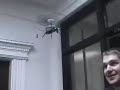 The Micro Mosquito
